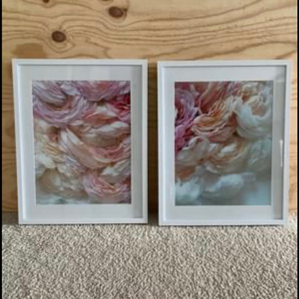 Floral Photography Framed Print